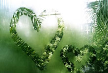 2010年世界杯西班牙的阵型图有什么特点？